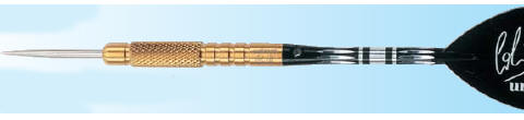 Dartpfeile Steeldart